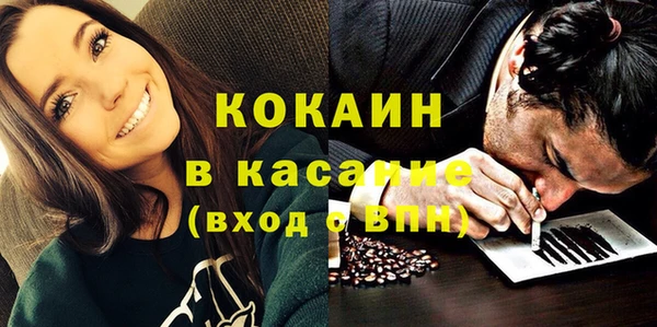 дживик Алексин