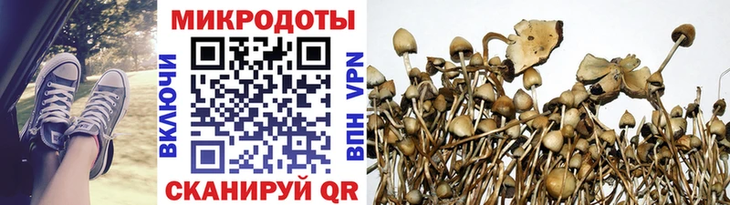 KRAKEN сайт  Красково  Псилоцибиновые грибы прущие грибы 